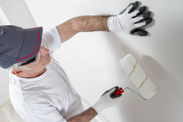 Best Mold Removal for HVAC Installations  in Oakland, PA