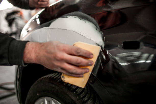 Best Mold Damage Restoration  in Oakland, PA