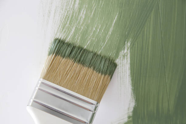 Best Water Damage & Mold Remediation  in Oakland, PA