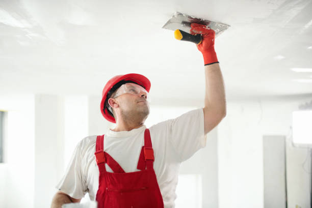 Professional Mold Removal in Oakland, PA