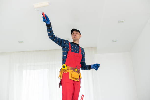  Oakland, PA Mold Removal Pros